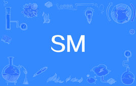 “SM”是什么意思？