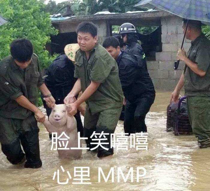 “脸上笑嘻嘻心里mmp”是什么梗？