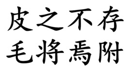 “皮之不存，毛将焉附”是什么意思？