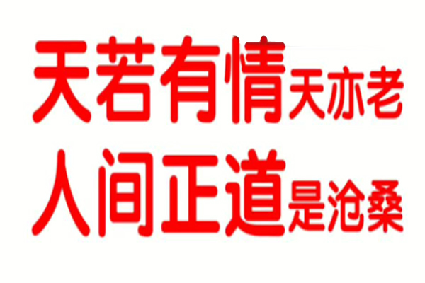 “天若有情天亦老，人间正道是沧桑”是什么意思？