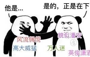 “才比子建，貌比潘安”指的是什么？