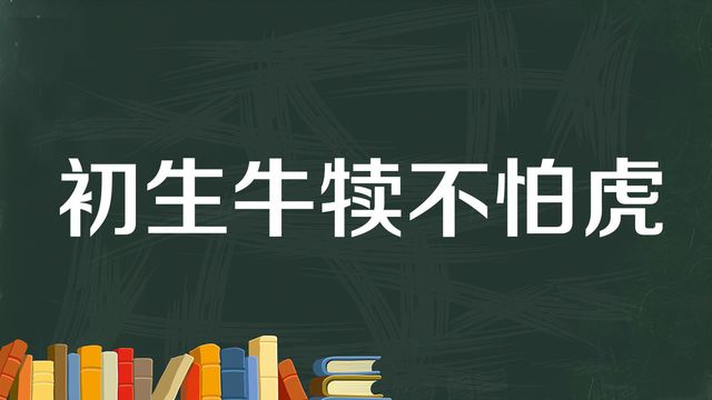 “初生牛犊不怕虎”是什么意思？