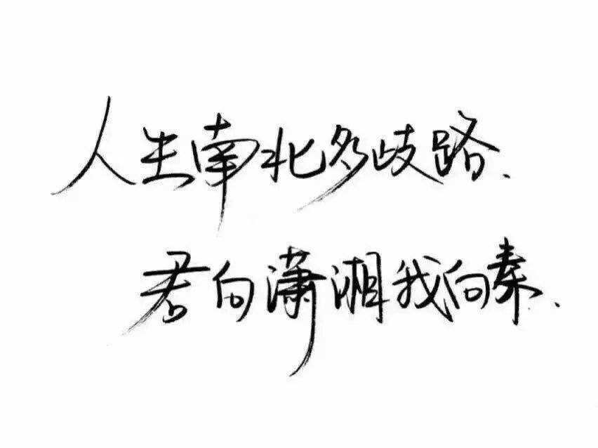 “人生南北多歧路，君向潇湘我向秦”是什么意思？