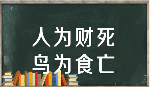 “人为财死，鸟为食亡”是什么意思？