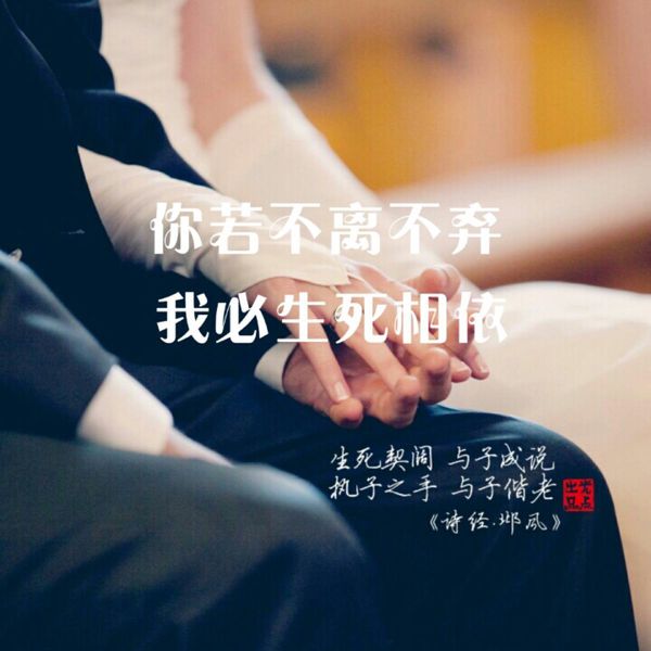 “你若不离不弃，我必生死相依”是什么意思？