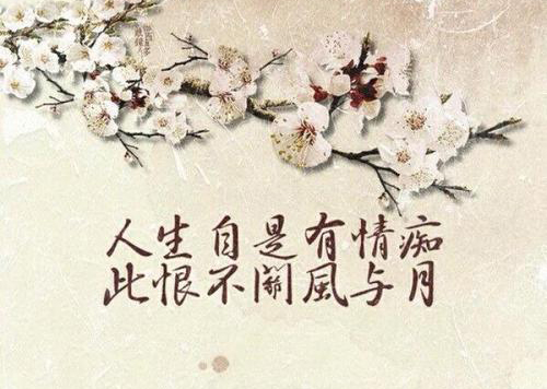 “人生自是有情痴，此恨不关风与月”是什么意思？