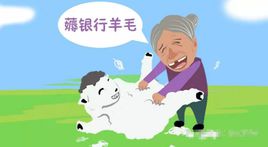 “羊毛党”和“薅羊毛”是什么意思？