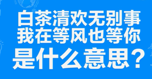 “白茶清欢无别事，我在等风也等你”是什么意思？(图1)