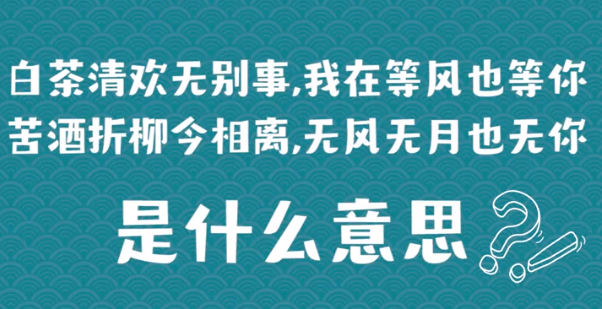 “白茶清欢无别事，我在等风也等你”是什么意思？