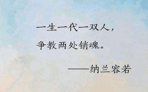 “一生一代一双人，争教两处销魂”是什么意思？