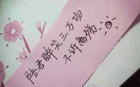 “醉笑陪君三千场,不用诉离殇”是什么意思?