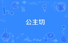 “公主切”是什么意思？(图1)