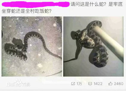 “老底坐穿蛇”是什么意思？