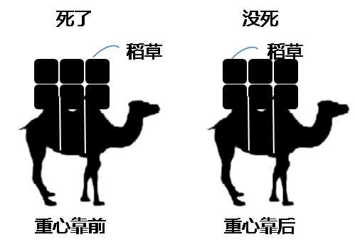 “压死骆驼的最后一根稻草”是什么意思？(图3)