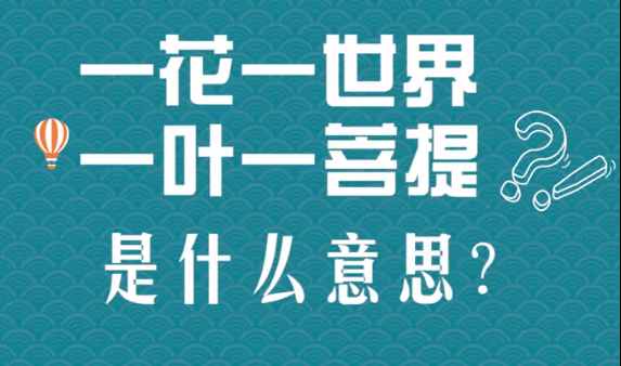 “一花一世界，一叶一菩提”是什么意思？