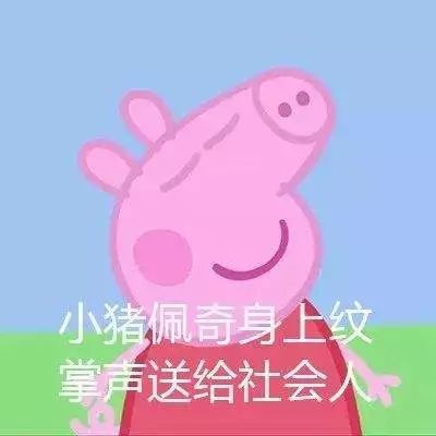 “小猪佩奇身上纹”是什么意思？