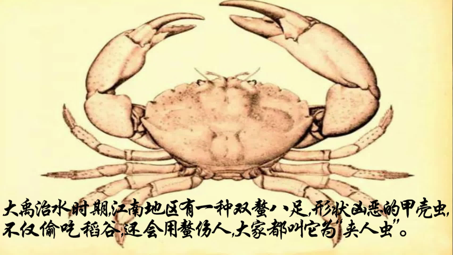“第一个吃螃蟹的人”是什么意思？