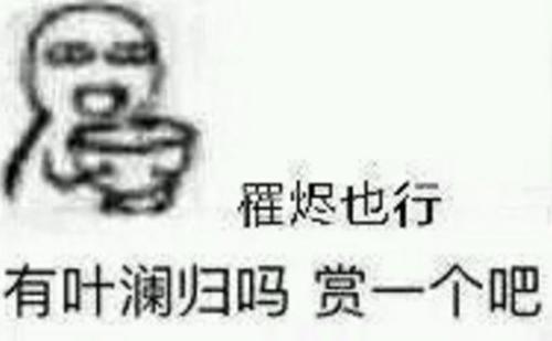 “叶澜归式宠爱”是什么意思？