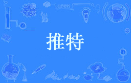 “脸书”和“推特”是什么意思？