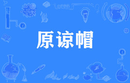 网络上的“原谅帽”是什么意思？(图1)