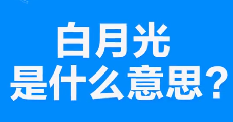 网络上的“白月光”是什么意思？