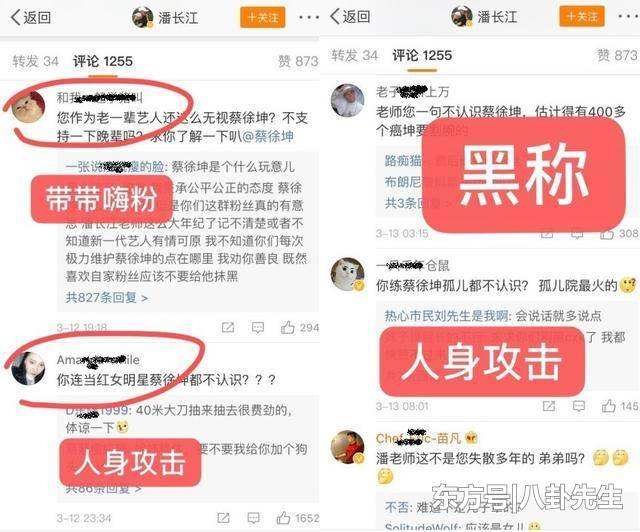 网络上的“人参公鸡”是什么意思？