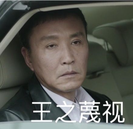 "王之蔑视"是什么意思?