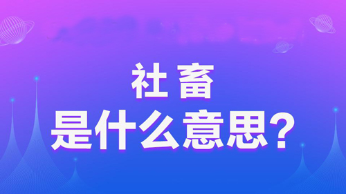 【网络用语】“社畜”是什么意思？