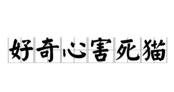 【西方谚语】“好奇害死猫”是什么意思？