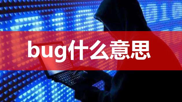 【网络用语】“BUG”是什么意思？(图1)