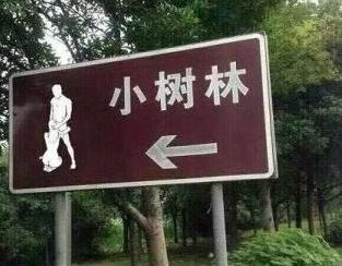 “带你去小树林”是什么梗？