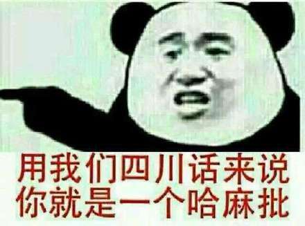 “你是一个哈麻批”是什么意思？(图3)