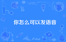 “你怎么可以发语音”是什么意思？