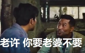 “老许，你要老婆不要”是什么梗？