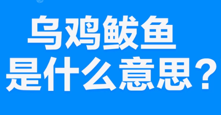 【网络用语】“无极鲅鱼”是什么意思？