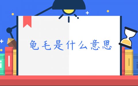 【台湾流行语】“龟毛”是什么意思？