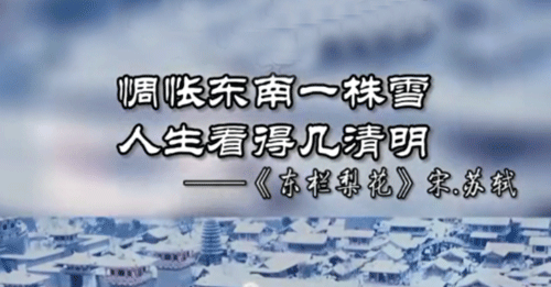 “惆怅东栏一株雪，人生看得几清明”是什么意思？(图1)