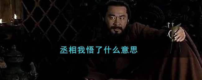 【网络热词】“丞相我悟了”是什么意思？