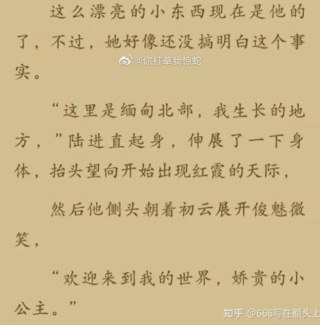 【网络热词】“这里是缅甸北部”是什么梗