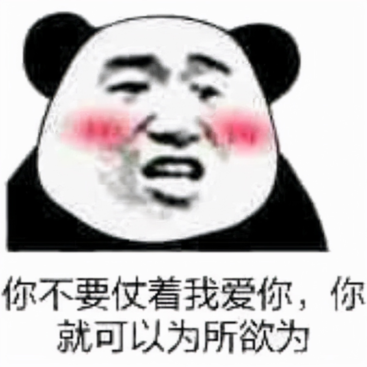 不会吧不会吧，还有人不知道二建报名条件？