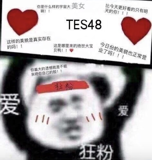 【网络热词】“TES48”是什么梗