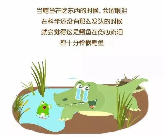 鳄鱼的眼泪