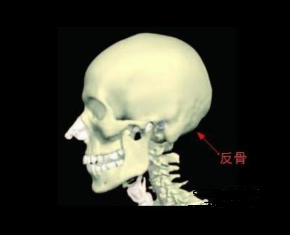 【网络用语】“反骨”什么意思？