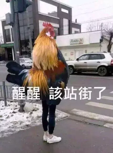 “鸡笼警告”是什么意思？（鸡笼警告表情包）