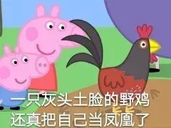 “鸡笼警告”是什么意思？（鸡笼警告表情包）