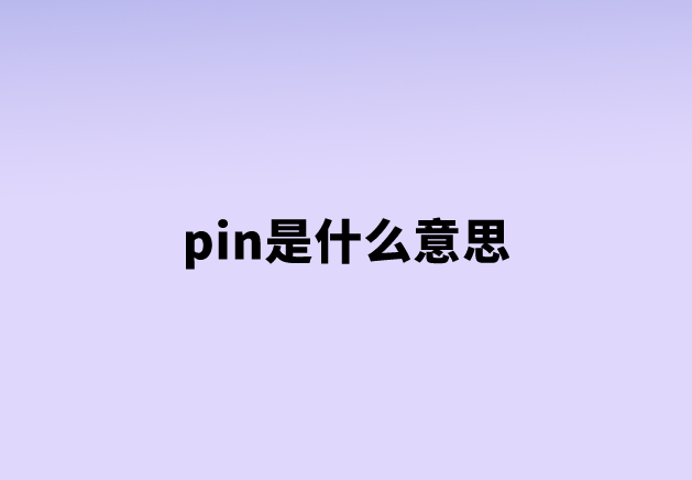 pin是什么意思（PIN常见在哪些地方）