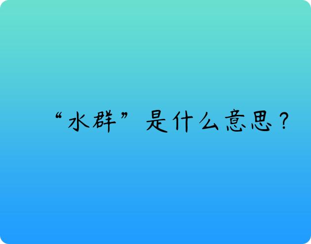 “水群”是什么意思？