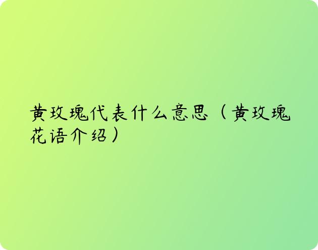 黄玫瑰代表什么意思（黄玫瑰花语介绍）