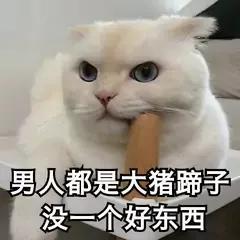 大猪蹄子是什么意思？出自哪里？