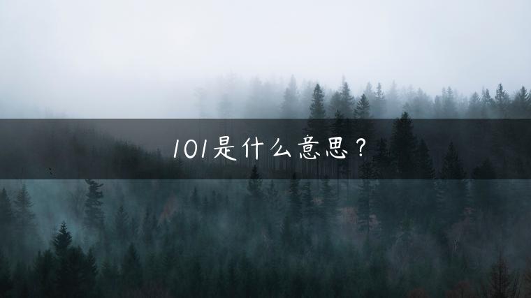 101是什么意思？